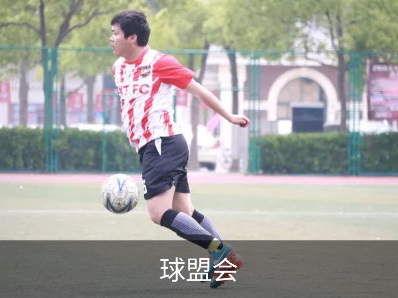 球盟会介绍